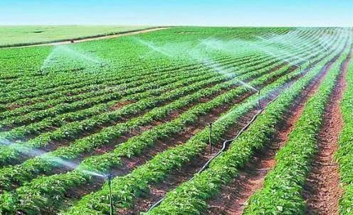 插鸡巴视频在线观看农田高 效节水灌溉